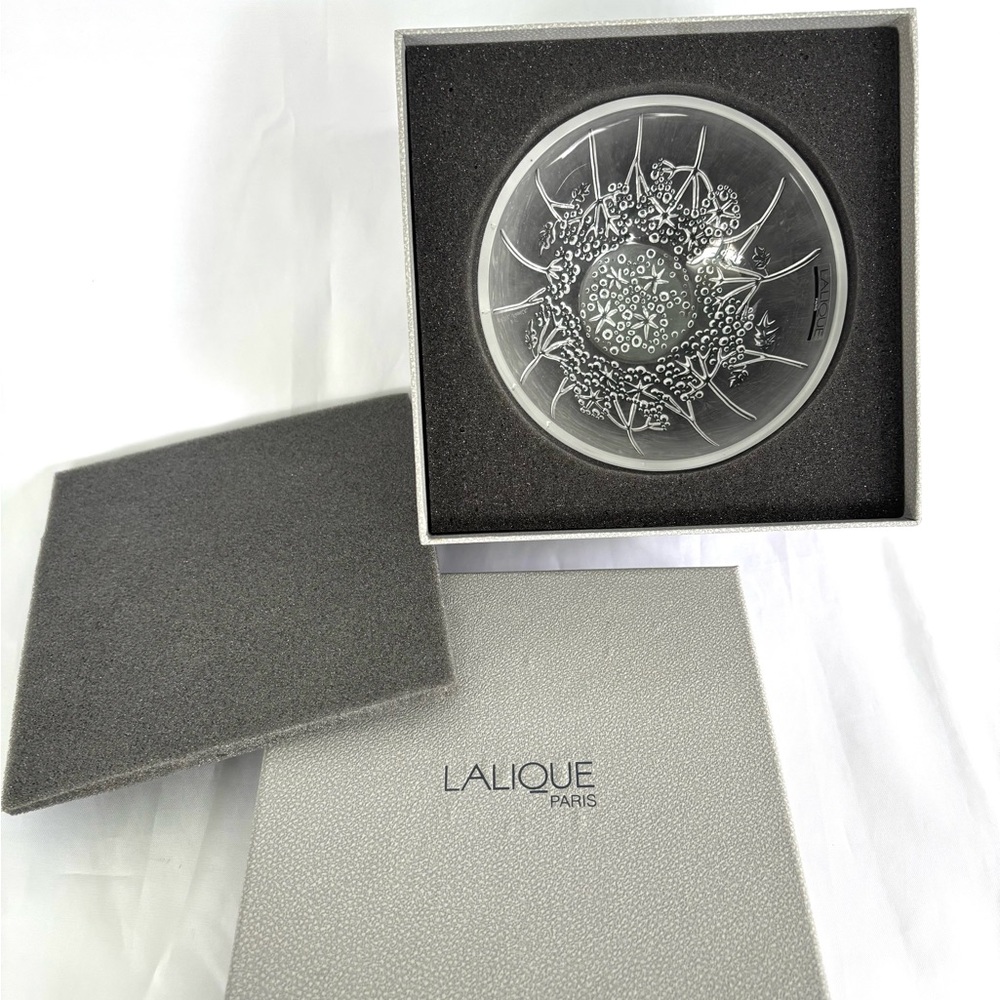 Lalique France Coupelle Anemones 5" Frosted Glass Bowl New in Original Box